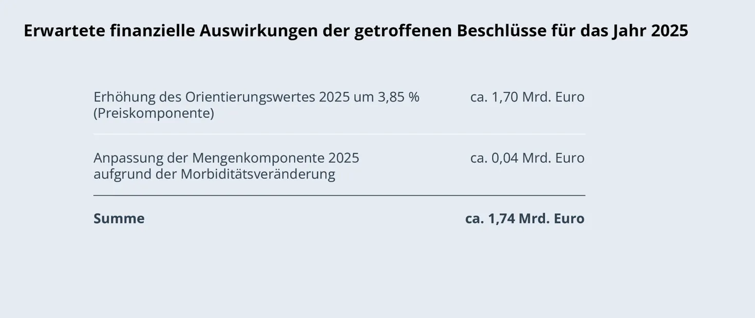 Übersicht: Erwartete finanzielle Auswirkungen der getroffenen Beschlüsse für das Jahr 2025